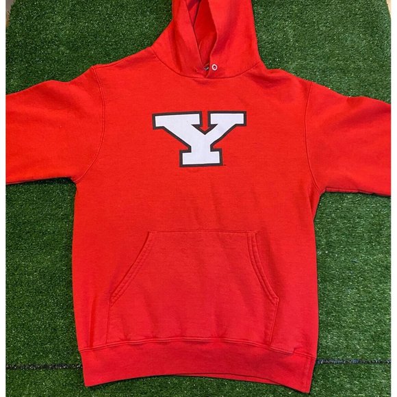 Vintage YTK Champion Youngstown State Penguins block Y hoodie sweatshirt small - Picture 3 of 8